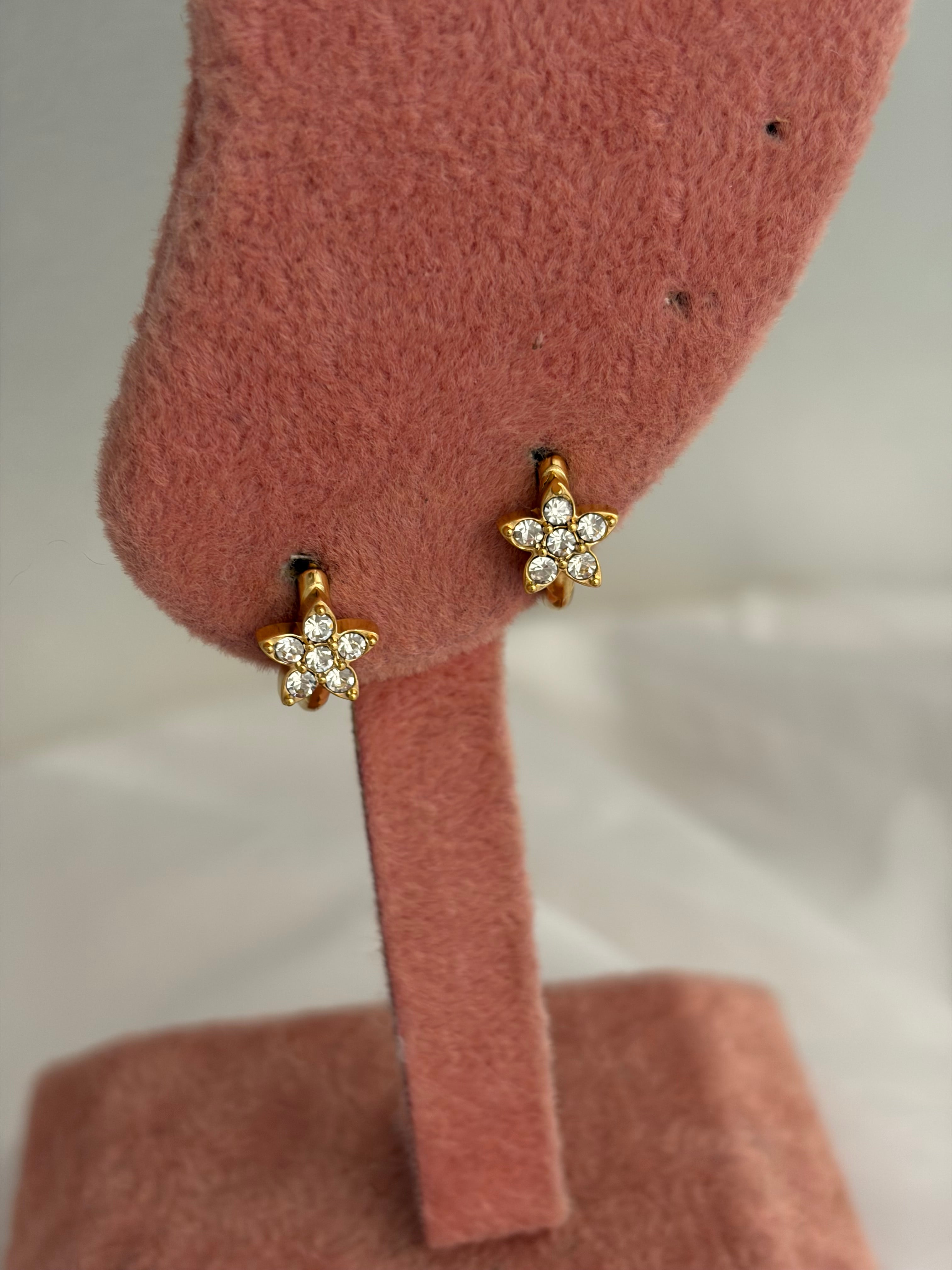 Sparkle earring