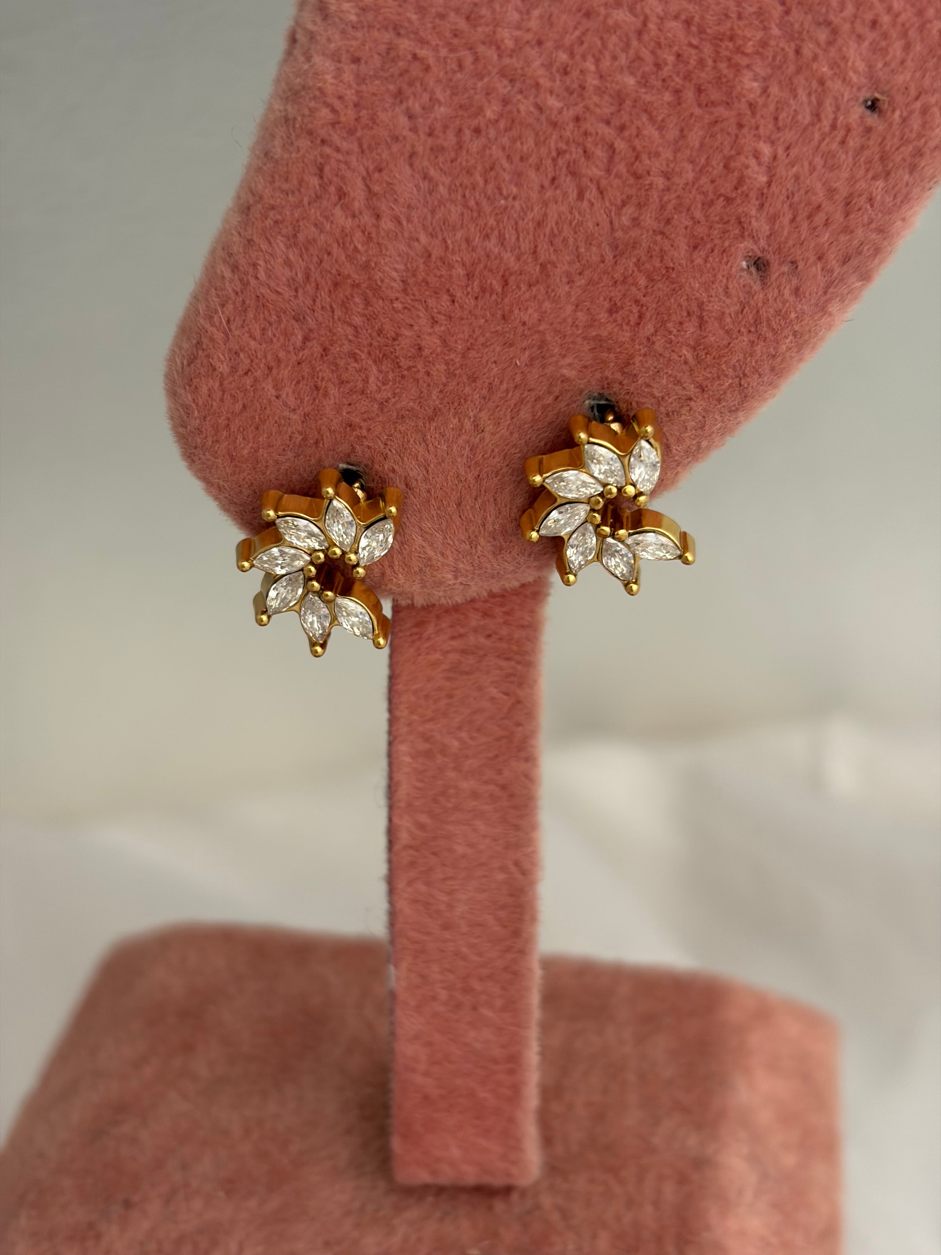 Stunning earring