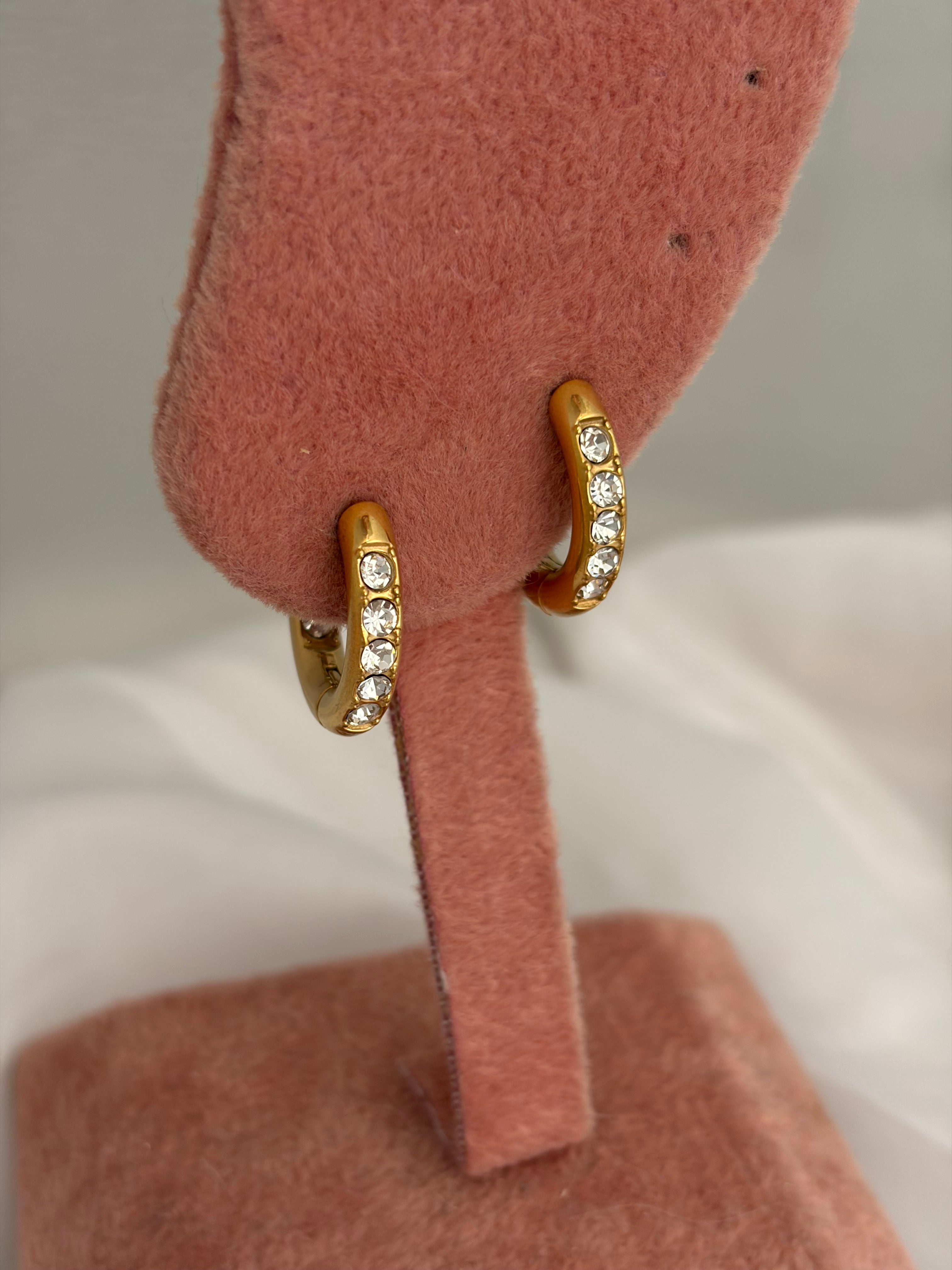 Premium earring