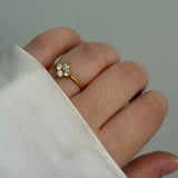 Clobe ring