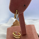 Duo earring