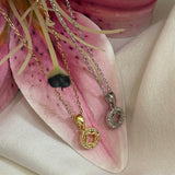 Clove necklace