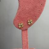 Clove stud