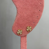 Clove stud
