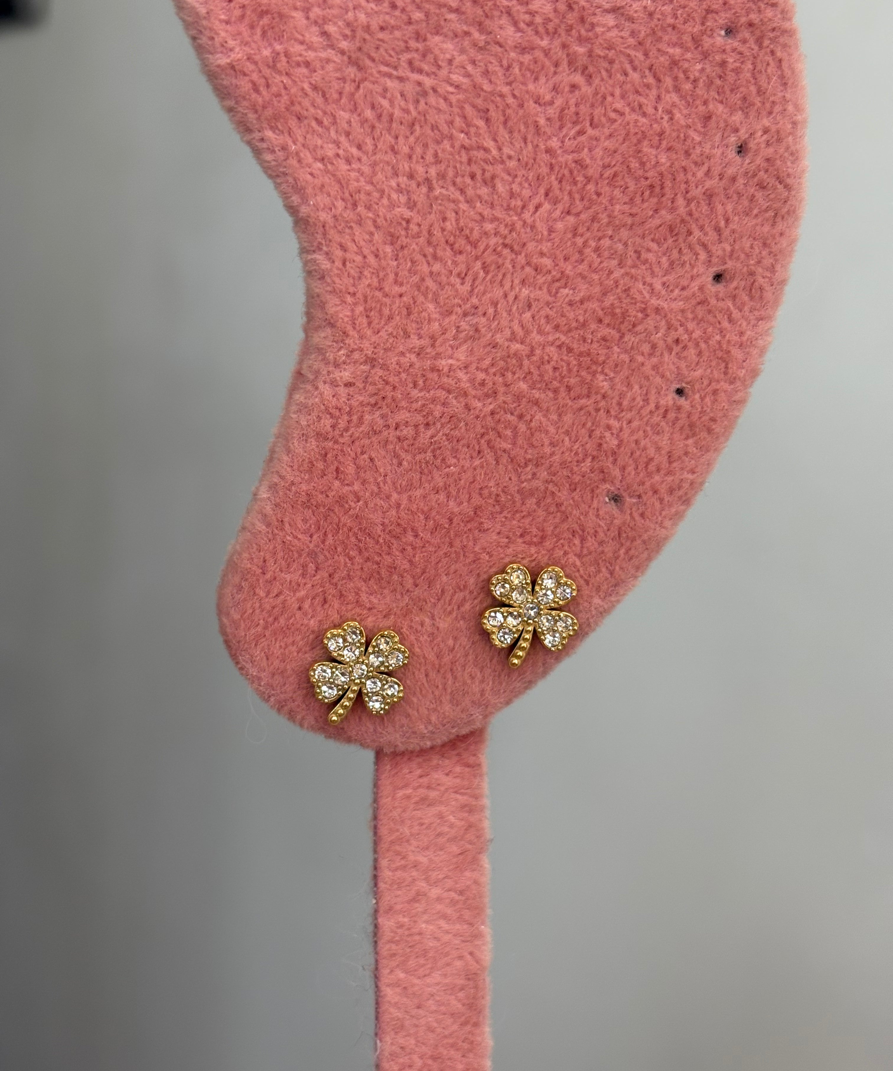 Clove stud