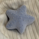 Shell box