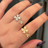 Mack ring