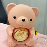 Teddy box